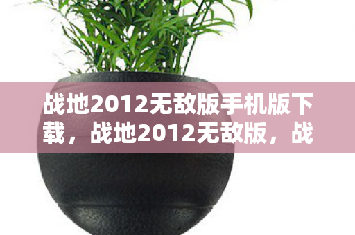 战地2012无敌版手机版下载，战地2012无敌版，战火重燃，无畏前行