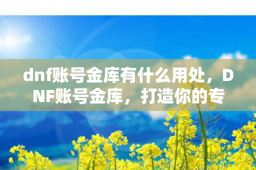 dnf账号金库有什么用处，DNF账号金库，打造你的专属财富宝库
