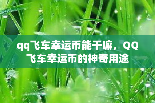 qq飞车幸运币能干嘛，QQ飞车幸运币的神奇用途