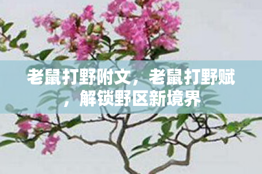老鼠打野附文，老鼠打野赋，解锁野区新境界