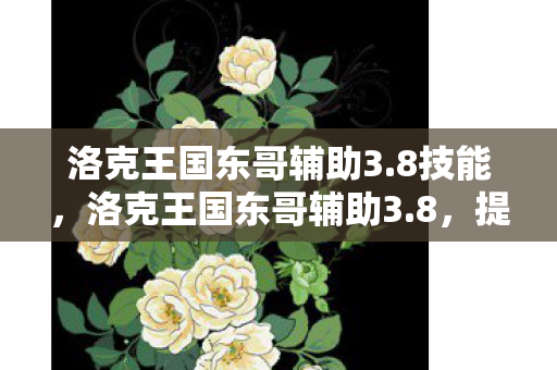 洛克王国东哥辅助3.8技能，洛克王国东哥辅助3.8，提升游戏乐趣的得力助手
