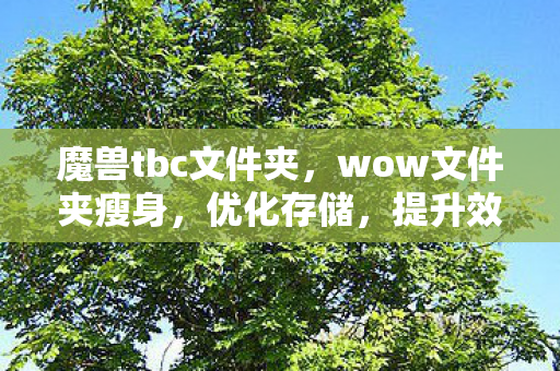 魔兽tbc文件夹，wow文件夹瘦身，优化存储，提升效率