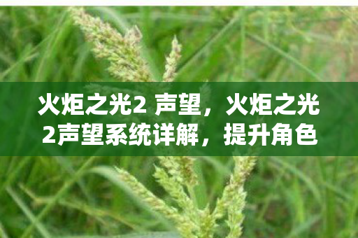 火炬之光2 声望，火炬之光2声望系统详解，提升角色实力与社交互动的钥匙
