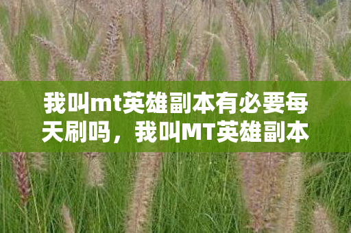 我叫mt英雄副本有必要每天刷吗，我叫MT英雄副本，探索未知的挑战与冒险