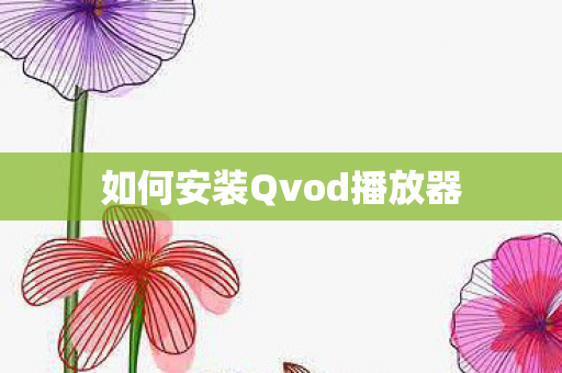 如何安装Qvod播放器 如何安装Qvod播放器