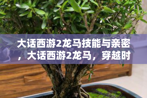 大话西游2龙马技能与亲密，大话西游2龙马，穿越时空的奇幻之旅