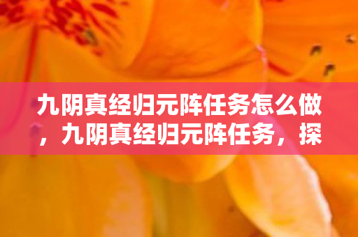 九阴真经归元阵任务怎么做，九阴真经归元阵任务，探索古老阵法的奥秘
