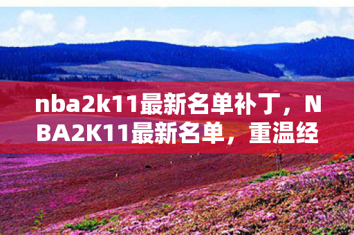 nba2k11最新名单补丁，NBA2K11最新名单，重温经典，再燃战火