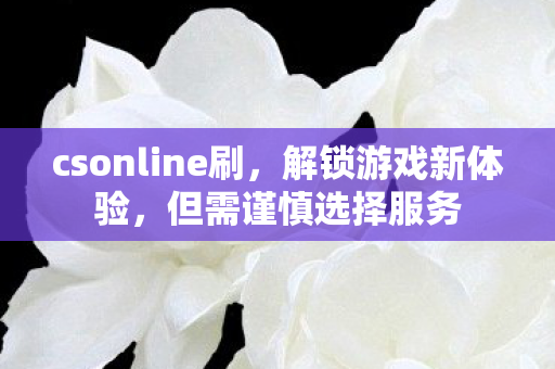 csonline刷，解锁游戏新体验，但需谨慎选择服务