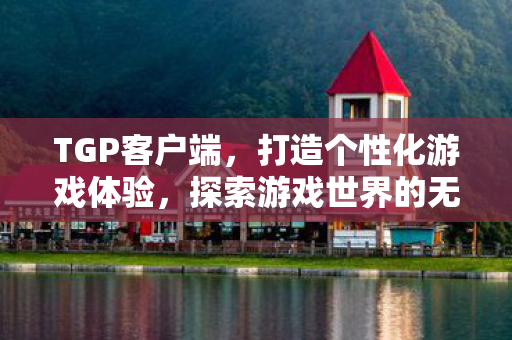 TGP客户端，打造个性化游戏体验，探索游戏世界的无限可能