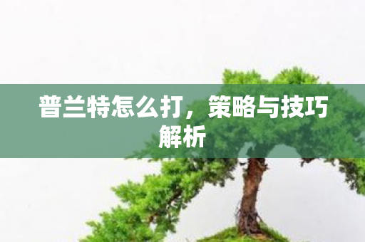 普兰特怎么打,策略与技巧解析 普兰特怎么打,策略与技巧解析