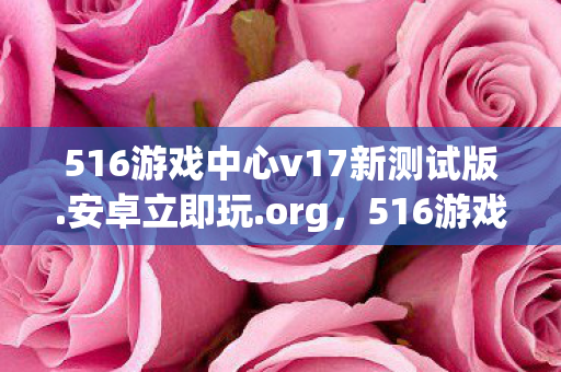 516游戏中心v17新测试版.安卓立即玩.org，516游戏，探索虚拟世界的奇妙之旅
