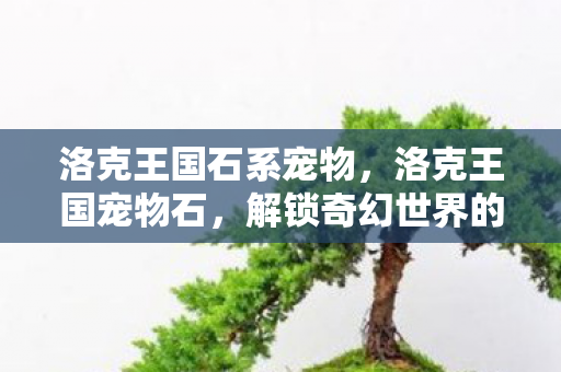 洛克王国石系宠物，洛克王国宠物石，解锁奇幻世界的神秘力量
