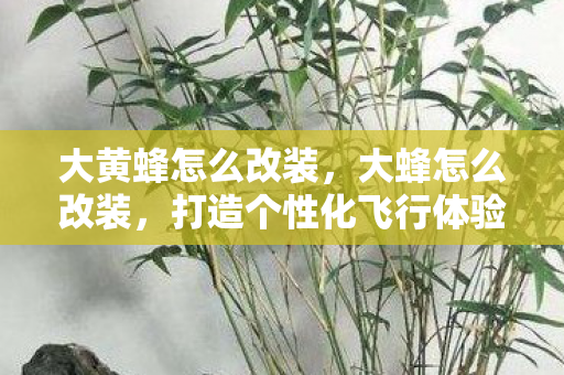 大黄蜂怎么改装，大蜂怎么改装，打造个性化飞行体验