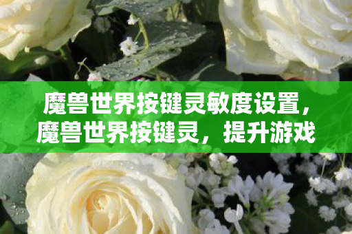 魔兽世界按键灵敏度设置，魔兽世界按键灵，提升游戏效率，还是破坏平衡？