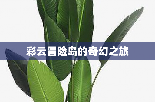 彩云冒险岛的奇幻之旅