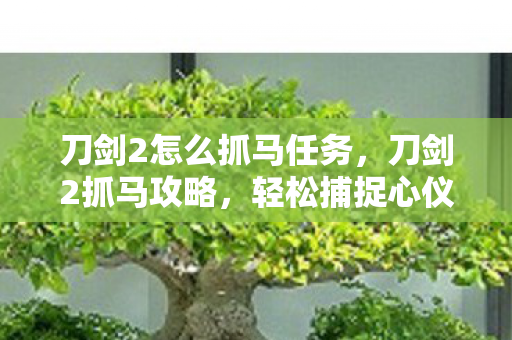 刀剑2怎么抓马任务，刀剑2抓马攻略，轻松捕捉心仪战马