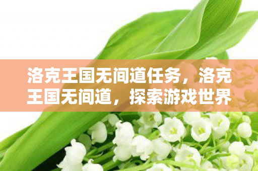洛克王国无间道任务，洛克王国无间道，探索游戏世界的秘密与策略