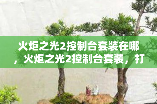 火炬之光2控制台套装在哪，火炬之光2控制台套装，打造你的专属游戏世界
