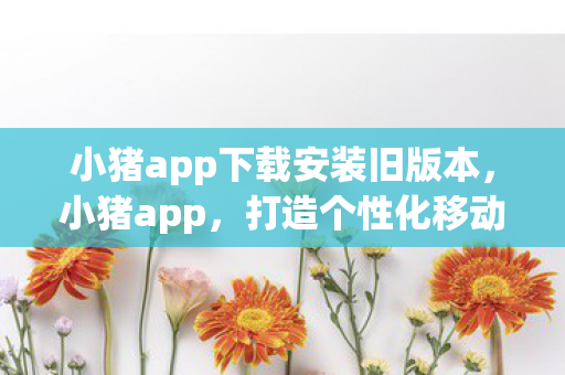 小猪app下载安装旧版本，小猪app，打造个性化移动生活新体验