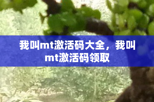 我叫mt激活码大全，我叫mt激活码领取