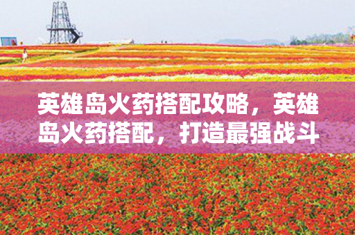 英雄岛火药搭配攻略，英雄岛火药搭配，打造最强战斗力的秘密