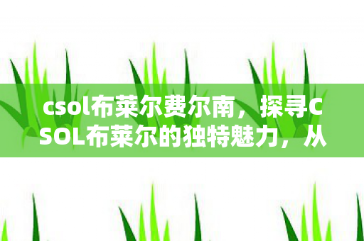 csol布莱尔费尔南，探寻CSOL布莱尔的独特魅力，从经典到创新的转变