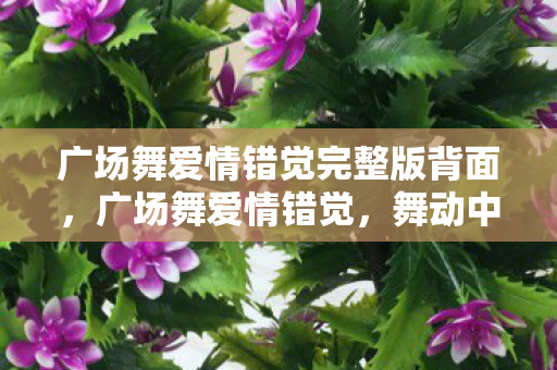 广场舞爱情错觉完整版背面，广场舞爱情错觉，舞动中的情感交织