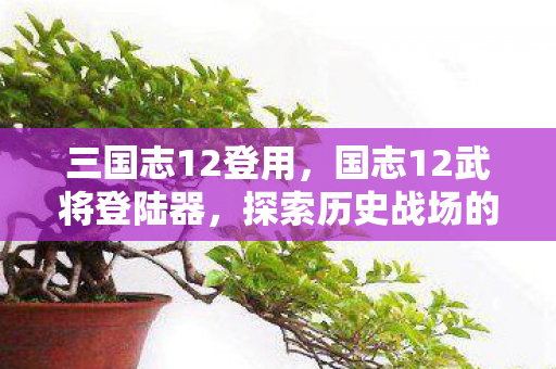 三国志12登用，国志12武将登陆器，探索历史战场的钥匙