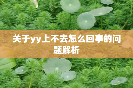 关于yy上不去怎么回事的问题解析 关于yy上不去怎么回事的问题解析