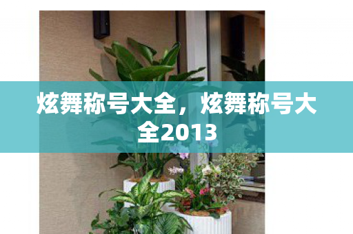 炫舞称号大全，炫舞称号大全2013