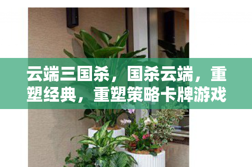 云端三国杀，国杀云端，重塑经典，重塑策略卡牌游戏的未来