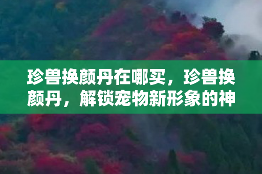 珍兽换颜丹在哪买，珍兽换颜丹，解锁宠物新形象的神秘钥匙