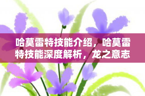 哈莫雷特技能介绍，哈莫雷特技能深度解析，龙之意志与星辰之怒