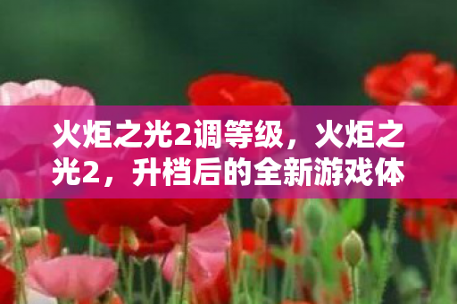 火炬之光2调等级，火炬之光2，升档后的全新游戏体验