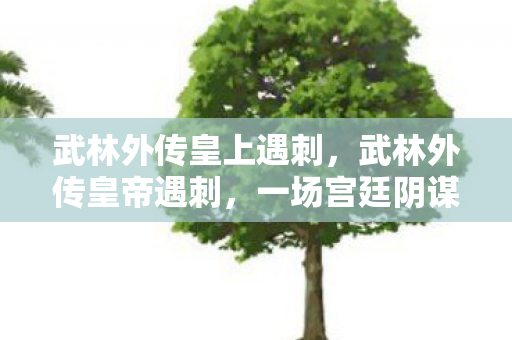 武林外传皇上遇刺，武林外传皇帝遇刺，一场宫廷阴谋的揭秘