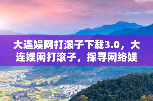大连娱网打滚子下载3.0，大连娱网打滚子，探寻网络娱乐的新风尚