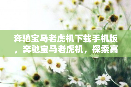 奔驰宝马老虎机下载手机版，奔驰宝马老虎机，探索高端游戏的魅力与乐趣