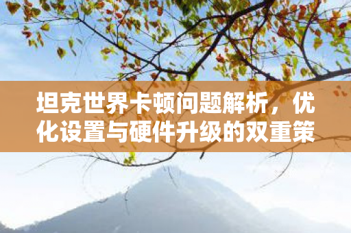 坦克世界卡顿问题解析，优化设置与硬件升级的双重策略