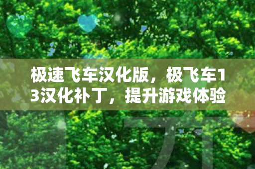 极速飞车汉化版，极飞车13汉化补丁，提升游戏体验的必备利器