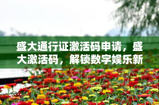 盛大通行证激活码申请，盛大激活码，解锁数字娱乐新世界的钥匙
