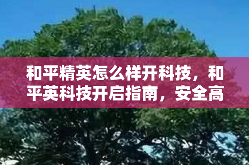 和平精英怎么样开科技，和平英科技开启指南，安全高效提升游戏体验