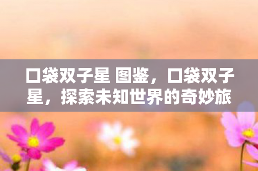 口袋双子星 图鉴，口袋双子星，探索未知世界的奇妙旅程