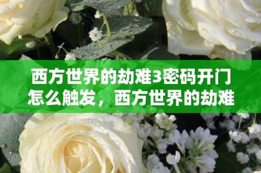 西方世界的劫难3密码开门怎么触发，西方世界的劫难3，解锁神秘密码的冒险之旅