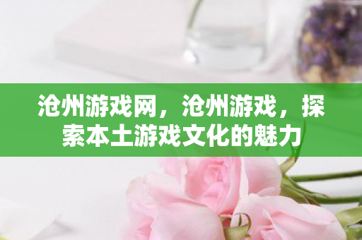 沧州游戏网，沧州游戏，探索本土游戏文化的魅力