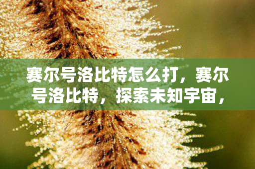 赛尔号洛比特怎么打，赛尔号洛比特，探索未知宇宙，挑战无限可能