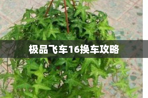 极品飞车16换车攻略