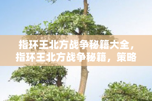 指环王北方战争秘籍大全，指环王北方战争秘籍，策略与技巧的深度剖析