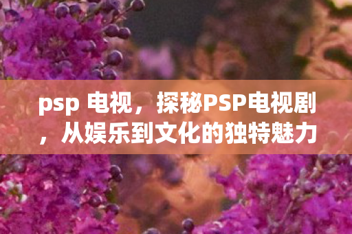 psp 电视，探秘PSP电视剧，从娱乐到文化的独特魅力