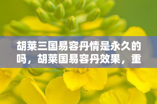胡莱三国易容丹情是永久的吗，胡莱国易容丹效果，重塑角色，开启全新冒险